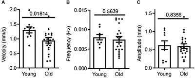 Colonic Motility and Jejunal Vagal Afferent Firing Rates Are Decreased in Aged Adult Male Mice and Can Be Restored by an Aminosterol